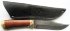 bars-altai1-dlll1-sm.jpg