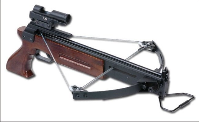 tdr-2005m-sm.jpg